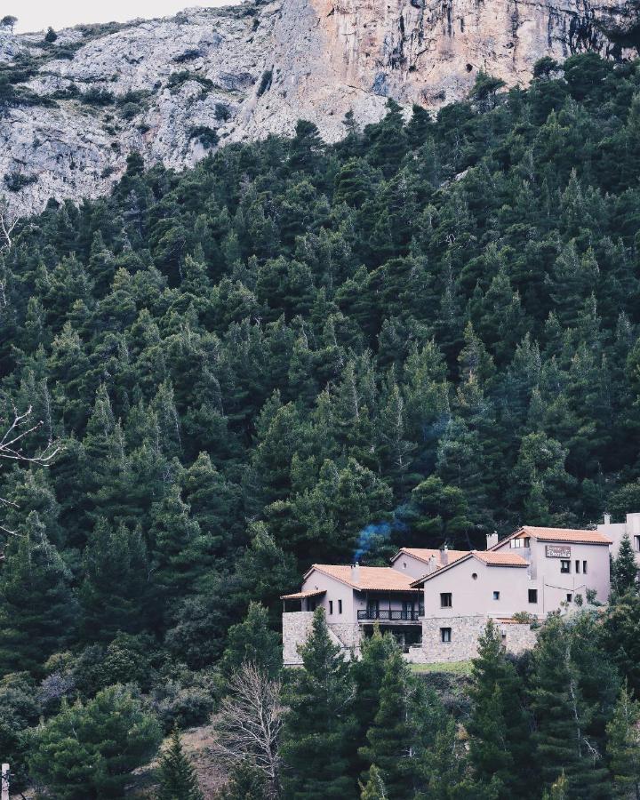 Guesthouse Vasiliki Steni Dhirfios Extérieur photo